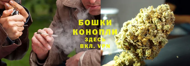 Шишки марихуана SATIVA & INDICA  закладки  Орлов 